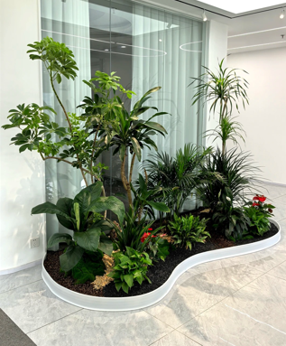杭州湾花木租摆展示-慈溪室内植物出租-北仑绿化养护市场趋势-余姚绿植租赁选择